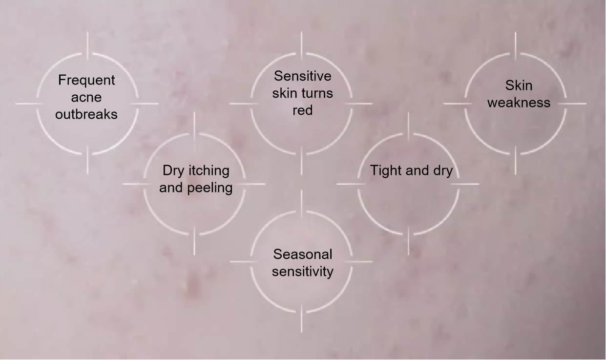 1717640185179300.png 03.png