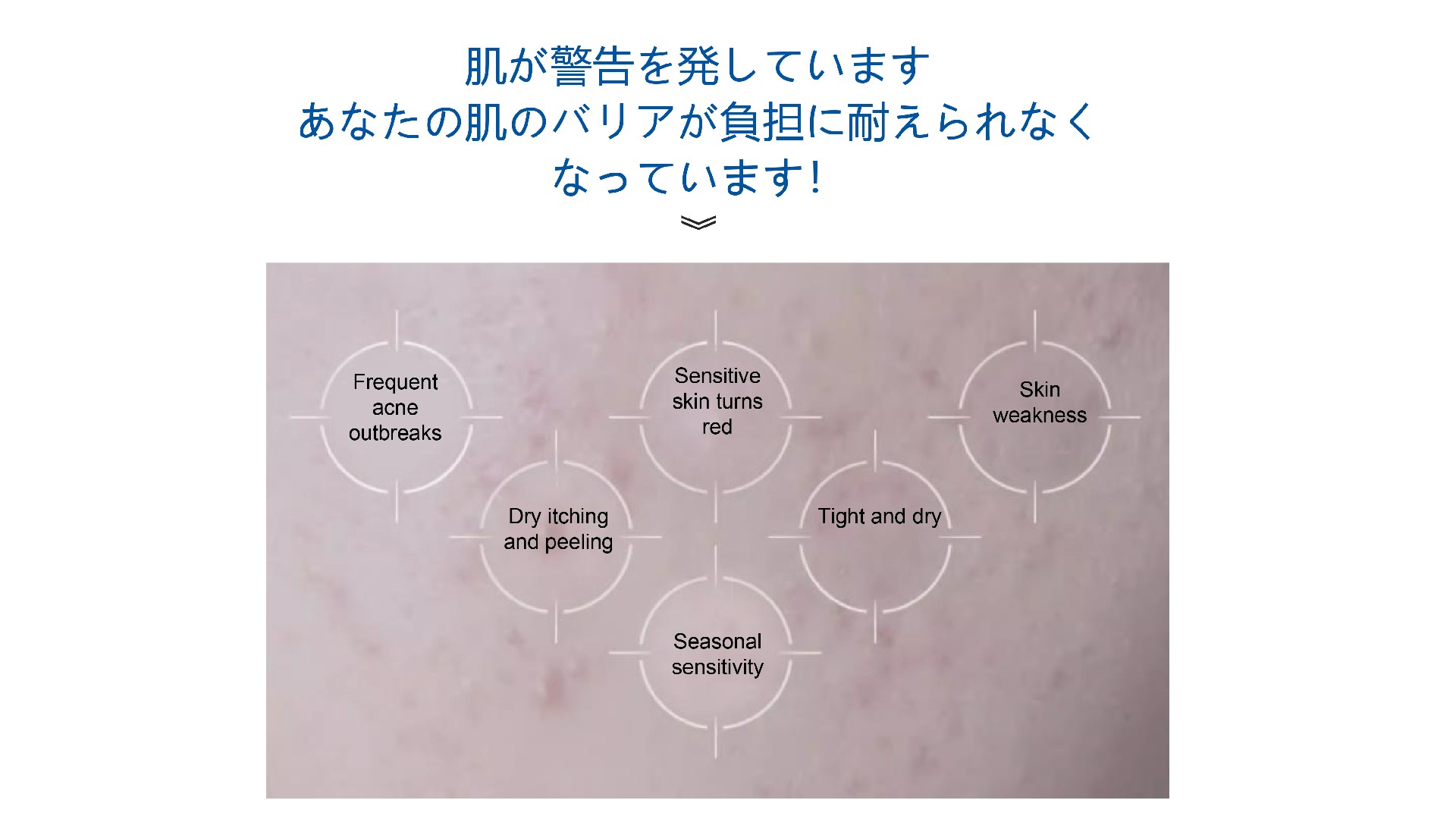 1717728485153561.jpg 1.jpg